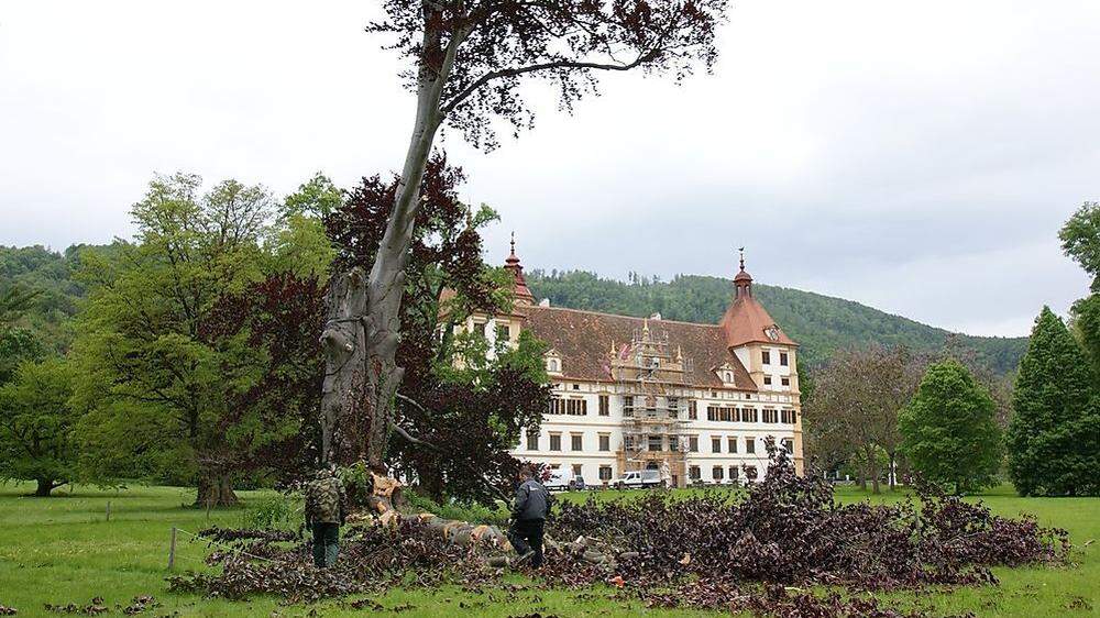 Der Sturm wehte am Montag über das Schloss Eggenberg und zerstörte auch historische Bäume