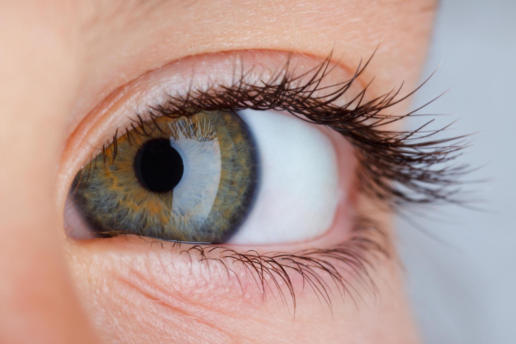 Sozialbetrug: Kosmetikerin kassierte jahrelang zu Unrecht Sozialleistungen