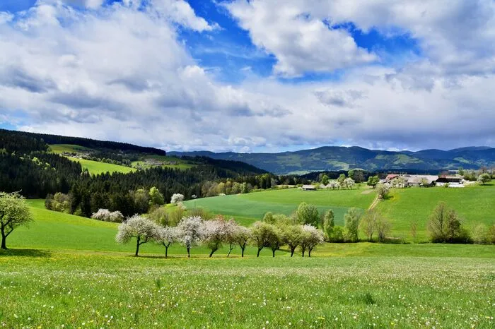 Ein wunderschöner Frühlingstag fotografierte von Gerlinde Privschek aus Miesenbach.