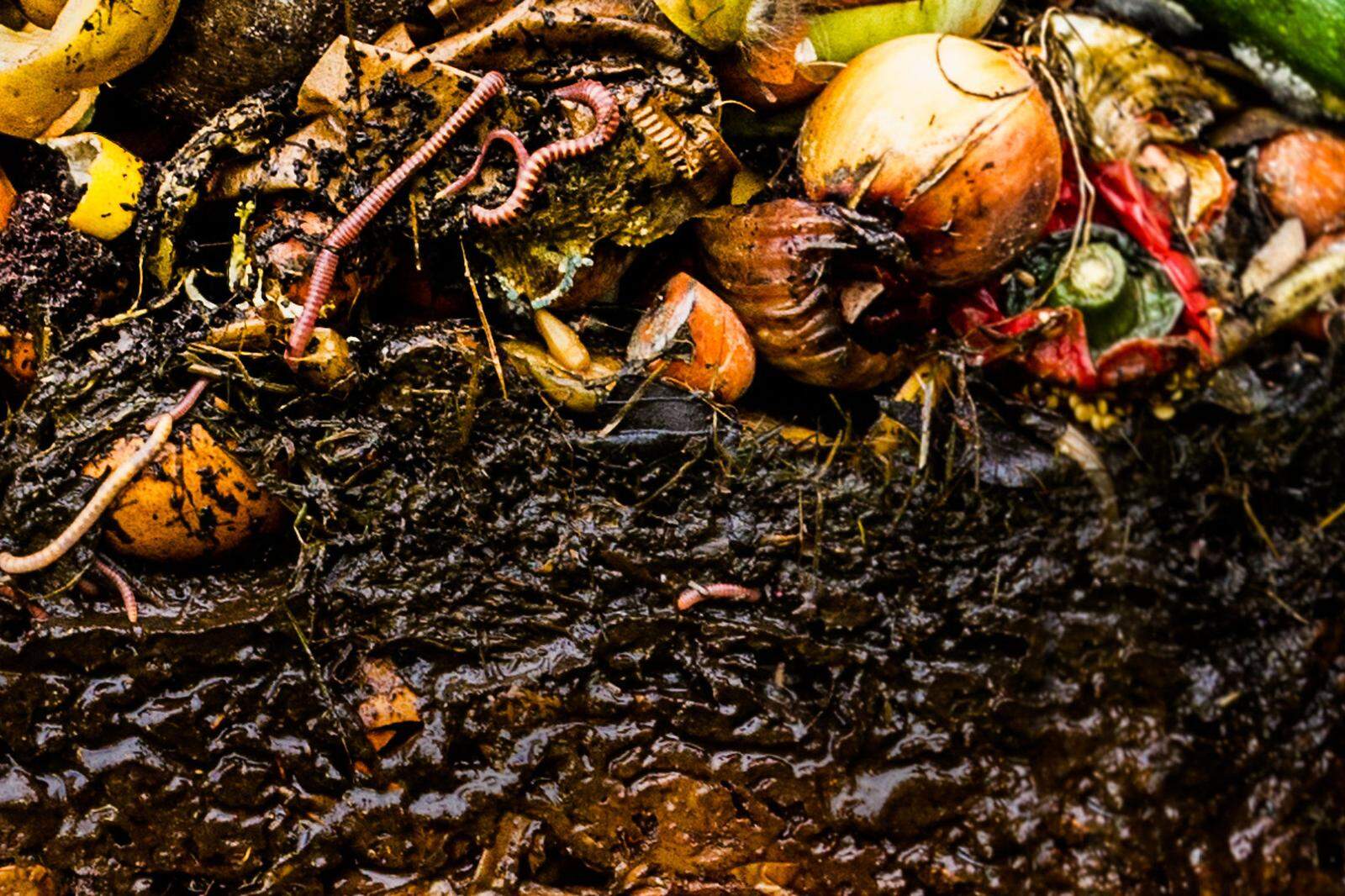 Karl Ploberger erklärt wie der perfekte Kompost gelingt