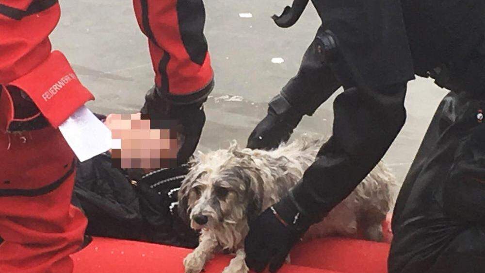 Zwischenfall in Wien-Donaustadt: Frau und Hund aus eingebrochenem Eis gerettet