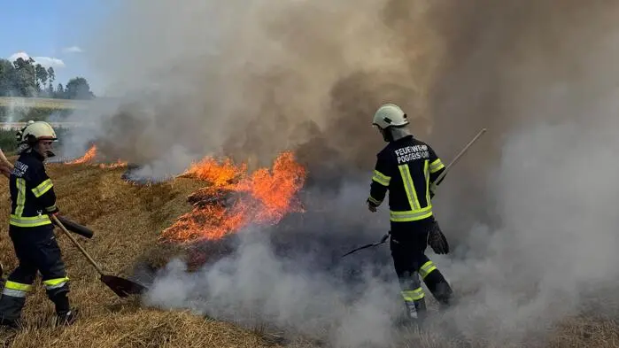 Am Linsenberg bei Poggersdorf brannte am Sonntag ein Acker