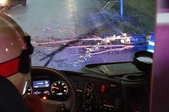Die FF Voitsberg wurde in die Ruhmannstrasse alarmiert. Ein kleiner Baum lag nach dem Sturm auf der Fahrbahn.