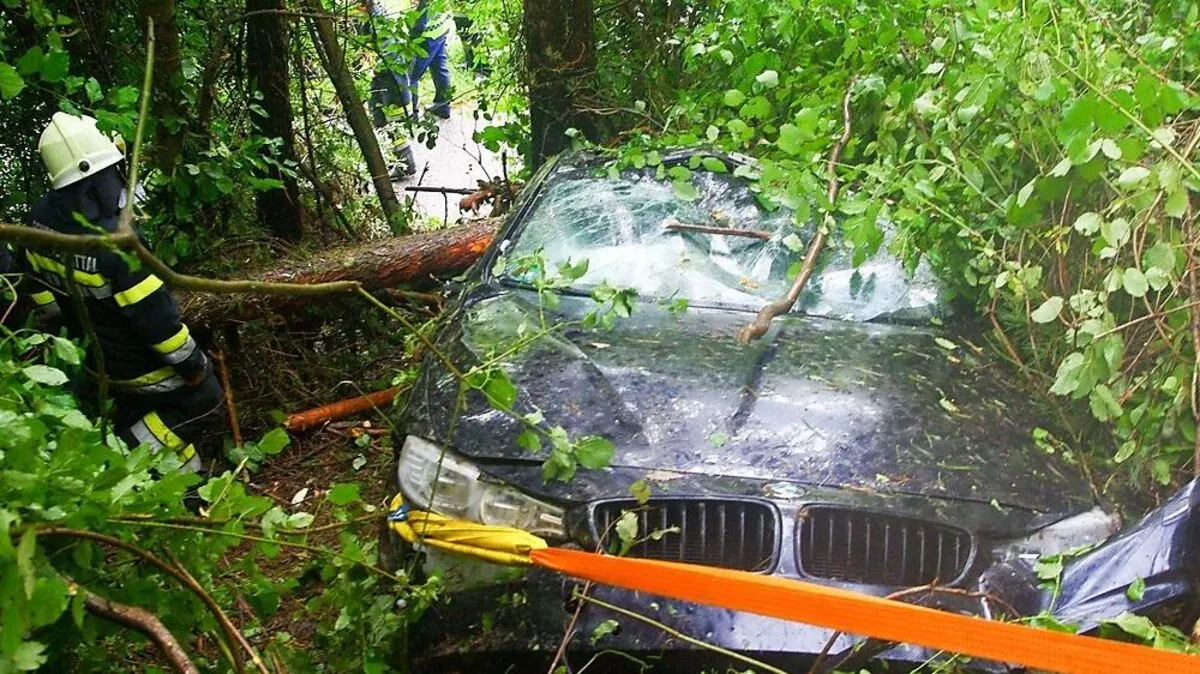 Der Weg zum Fahrzeug musste von der Feuerwehr freigeschnitten werden