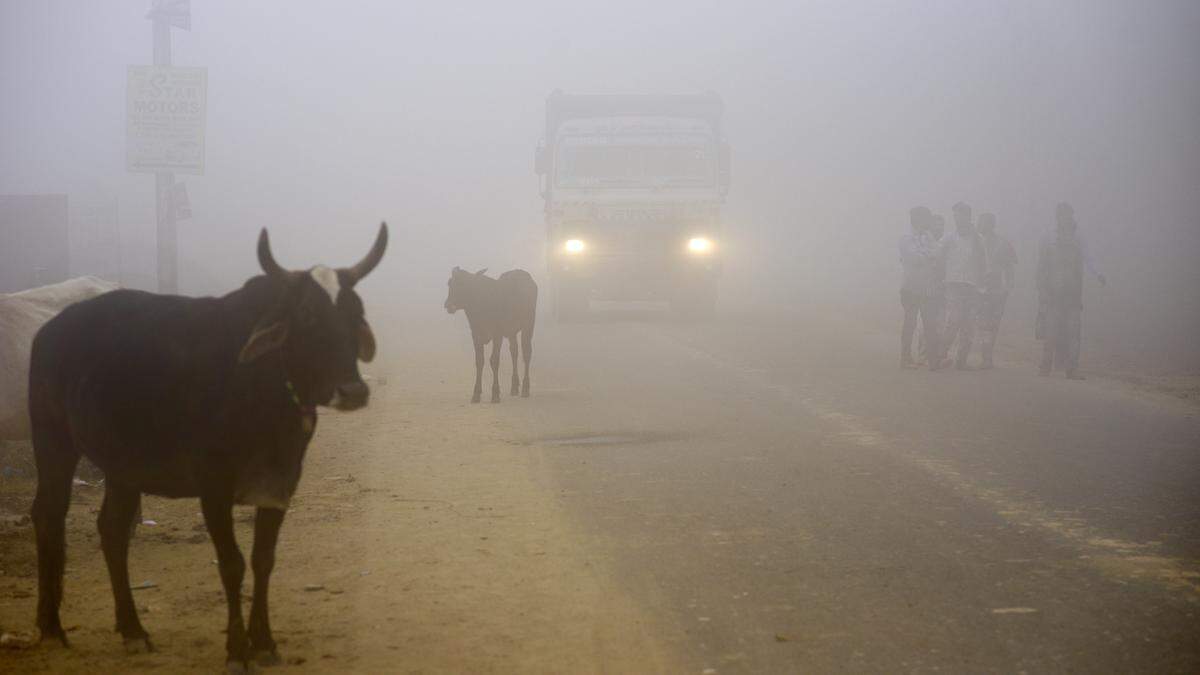 Smog in Indien