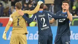 Jubel bei den Hoffenheimern 