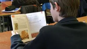 Demnächst eine Rarität? Lateinunterricht in der AHS Oberstufe