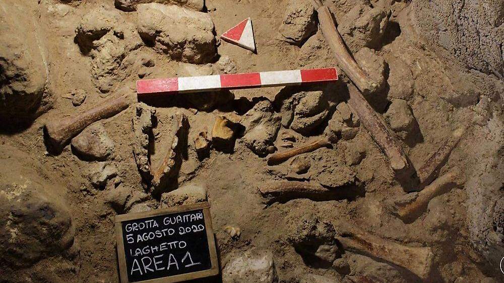 In der Guattari-Höhle am Circeo-Berg zwischen Rom und Neapel haben Wissenschafter bei neuen Untersuchungen Überreste von weiteren neun Neandertalern gefunden