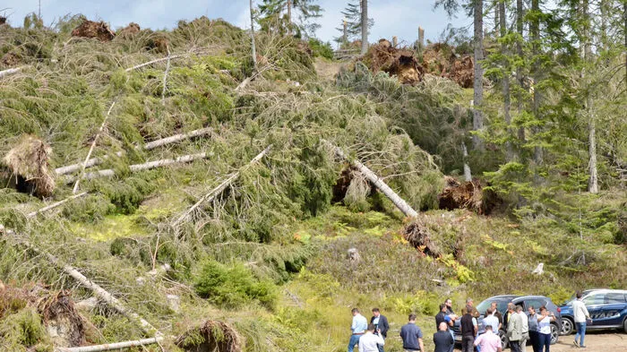 Ein Sturm hat im August am Guggenberg bei Hermagor schwere Schäden im Wald angerichtet.