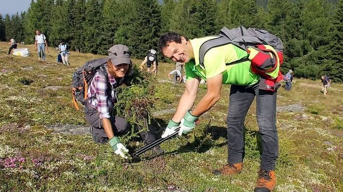 Freiwillige helfen am Samstag auf den Almen mit