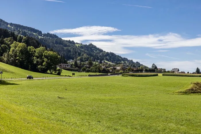 Blick in Richtung Haus
