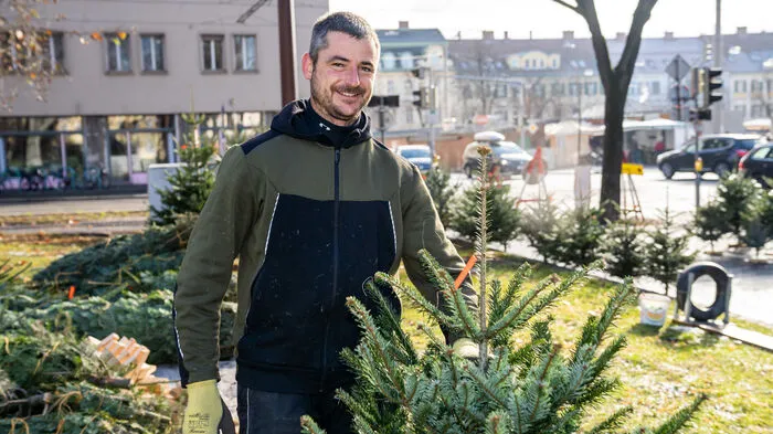 Stadtpark: Georg Lendl aus Anger bei Weiz verkaufte 1996 zum ersten Mal Christbäume in Graz