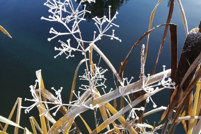 Herbstbild von Heidrun Bischof.