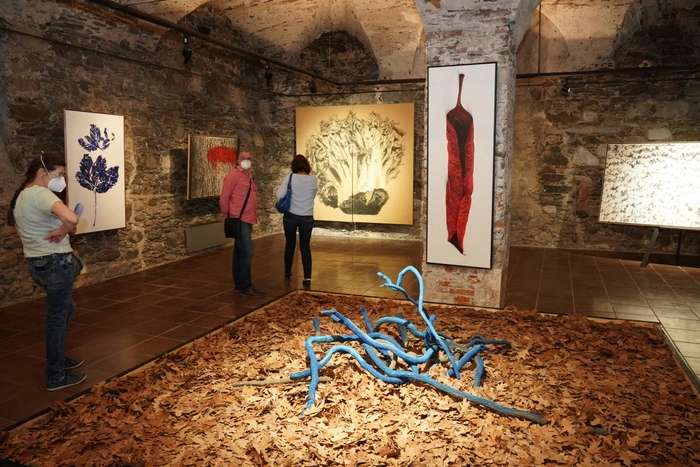 Bockelmann, der in Graz Freskomalerei, Grafik und Fotografie studierte, kam über die Fotografie, die ihm das genaue Schauen abverlangte, zur abstrahierten Landschaftsmalerei und  weiter zum Menschenbild und zu ungewöhnlichen  Motiven in der Natur, wie zum Beispiel Blätter, die vom Baum fallen und sterben. 
