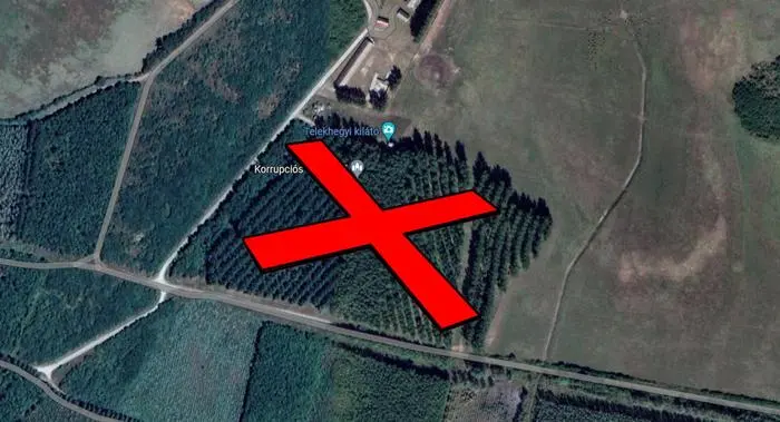 Dieser Wald wurde abgeholzt, um den Baumwipfelpfad fertigzustellen. 