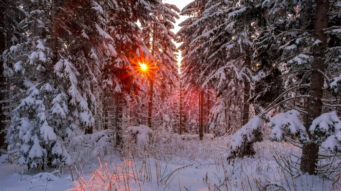 Leserreporter Johannes Zöhrer, Kommandant der Freiwilligen Feuerwehr Landscha, wanderte vergangenen Sonntag mit seiner Kamera auf den verschneiten Hochlantsch.