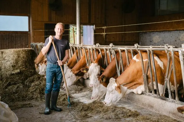 Bauer Andreas Klingbacher steht im Stall vor seinen Kühen.