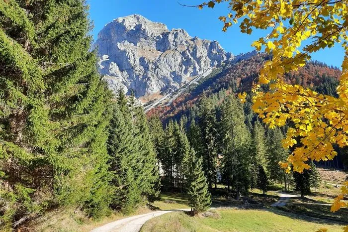 Eisenerzer Ramsau