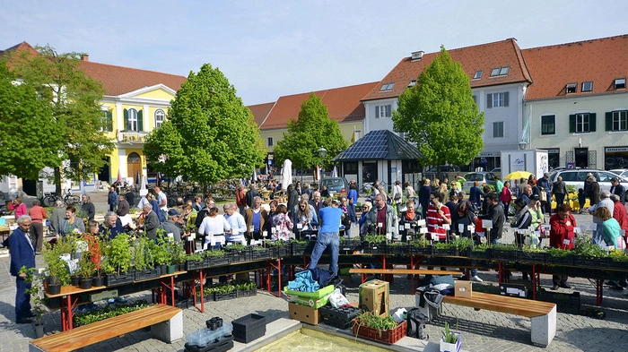 Im Jahr 2015 mit großem Erfolg erstmals abgehalten...