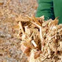 Holzfaser-Dämmstoffe: Das für Best wood Schneider erforderliche Hackgut soll "Norica Plus" Hasslacher liefern