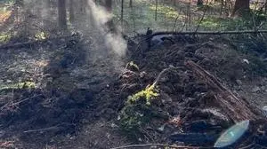 Ein Wurzelstock entzündete sich durch eine Rakete