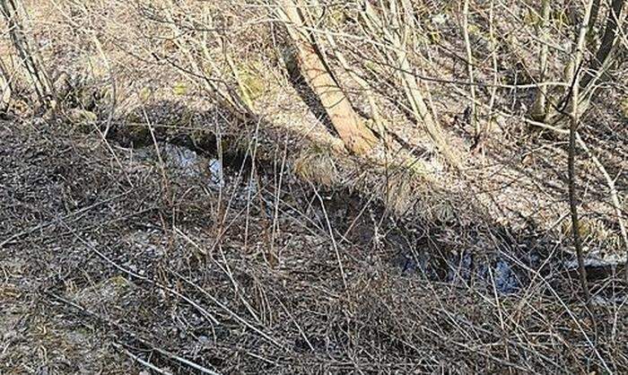 In diesen Nebenfluss der Malta stürzte der Mann 