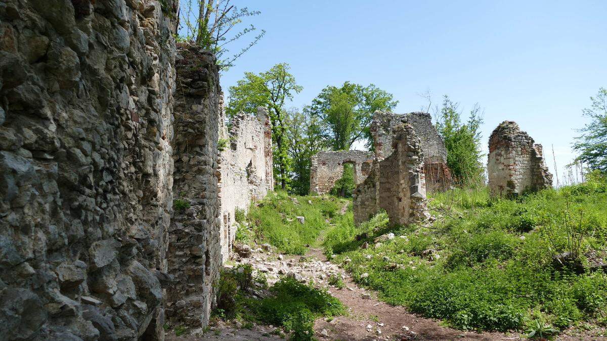 Nicht nur der Wildoner Schlossberg wird am &quot;Tag des Denkmals 2022&quot; ins Rampenlicht gerückt