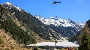 Eine mächtige, tropfnasse Fichte fliegt hier über den Schladminger Riesachsee