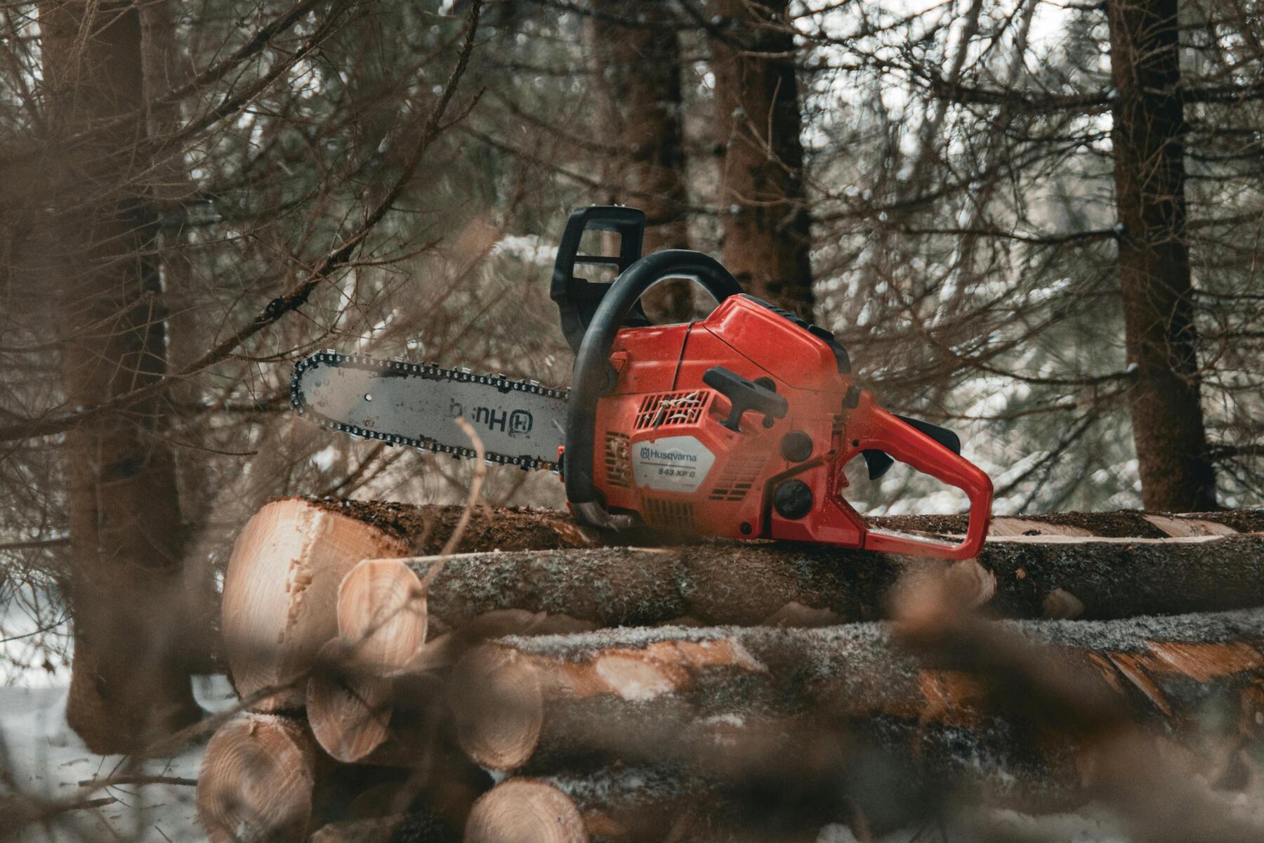 Gesäuse: Steirer (36) schleppte sich nach Forstunfall schwer verletzt bis zur Straße