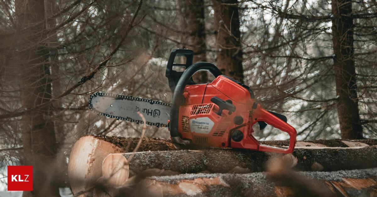 Serie-rei-t-nicht-ab-Admont-36-J-hriger-bei-Forstunfall-schwer-verletzt