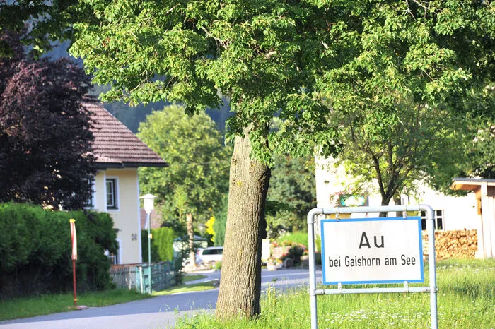 Au in der Gemeinde Gaishorn