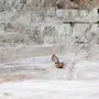 Besonders extrem soll laut Bruegel-Analyse die Nachfrage nach Lithium steigen