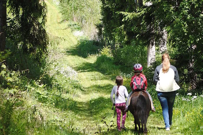 Das Pony Reiten ist für Feriengäste während des Aufenthaltes gratis. Zwei Routen durch das Metnitztal kann man mit den Vierbeinern erwandern.     