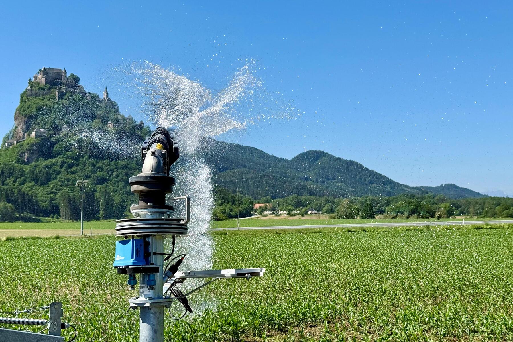 Trockenheit: „Ohne Bewässerung wird es irgendwann nicht mehr