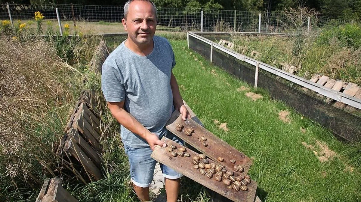 Christian Janisch hat sich vom Tischler zum Schneckenzüchter umorientiert
