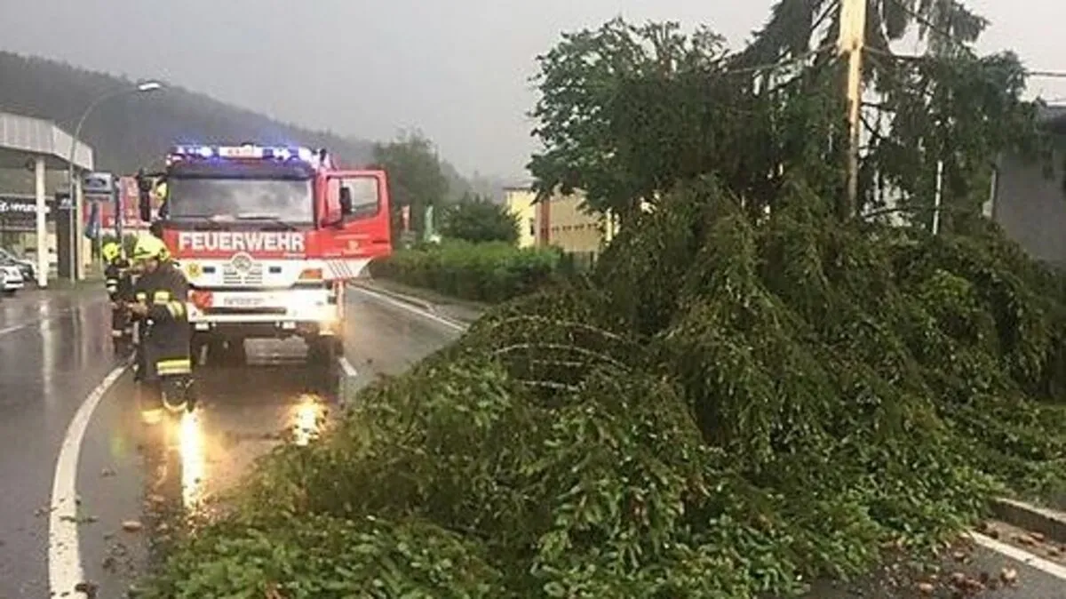 Umgestürzter Baum in Völkermarkt