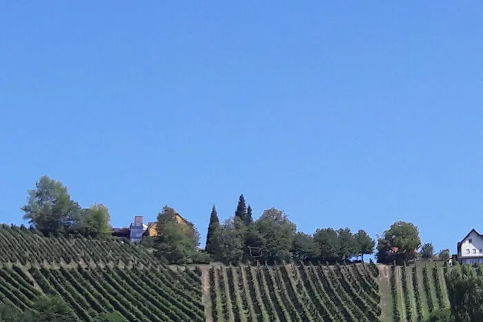 In St. Nikolai im Sausal wanderten Ines und Roman Gusterer aus Murau.