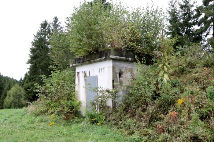 Wurzeln der Bäume, die auf dem Hochbehälter wachsen, ragen ins Innere