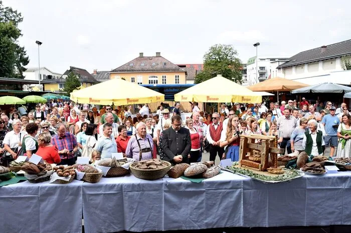 Die besten wurden nun bei der 50. Steirischen Weinwoche in Leibnitz prämiert. Klicken Sie sich durch: