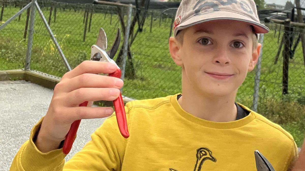 Der 14 Jahre alte Jonas Huber ist der jüngste zertifizierte Baumwart Kärntens