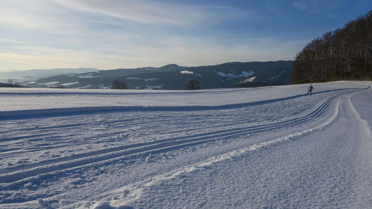 Viele Langlaufstrecken warten im Bezirk bereits auf Wintersportler. Im Bild: Die Panoramaloipe Mürzzuschlag