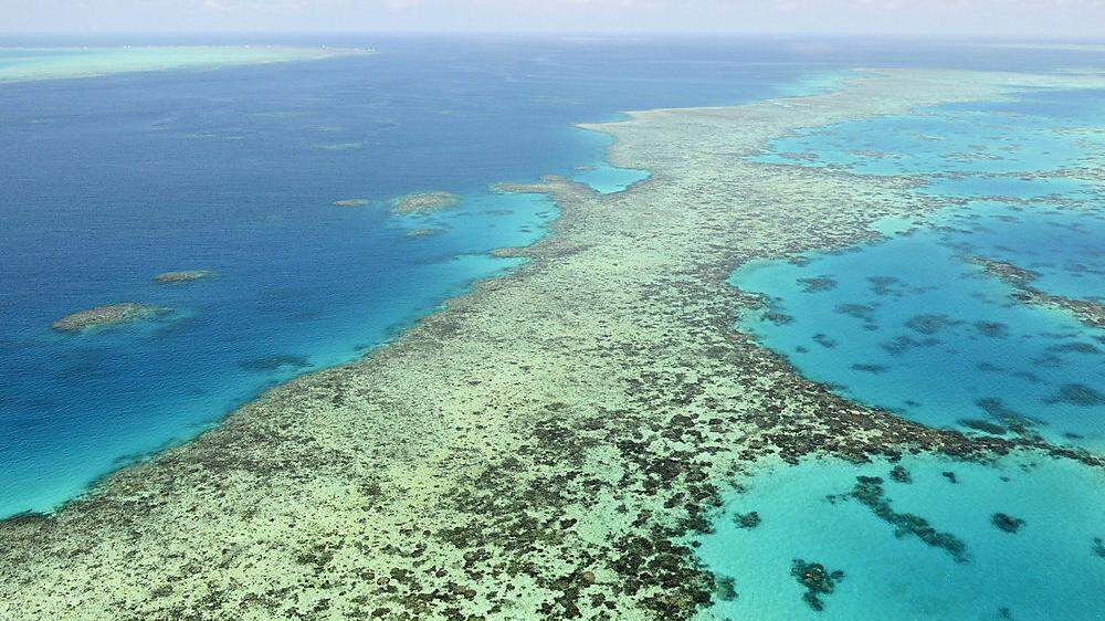 Die Vereinten Nationen hatten schon in der Vergangenheit gewarnt, dass 90 Prozent aller Korallen auf der Welt absterben könnten, wenn die globalen Temperaturen um 1,5 Grad steigen