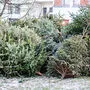 An allen 60 Sammelstellen der Stadt können Christbäume entsorgt werden