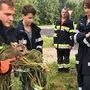 Die Mannen der FF Unterlungitz mit dem Rehkitz