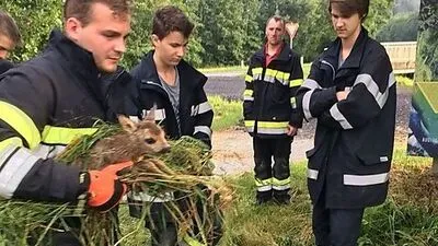 Die Mannen der FF Unterlungitz mit dem Rehkitz