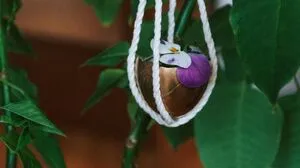 Hängende Nester für den Osterstrauß