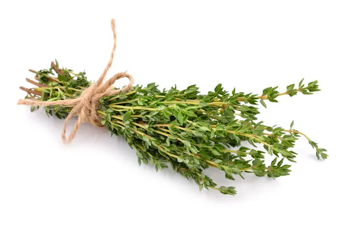 Zutaten: 50 g Natron, 50 g Waschsoda, 30 g getrockneter grob gemahlener Thymian. Zubereitung: Natron, Waschsoda und Thymian gut mischen und in einen verschließbaren Becher füllen.