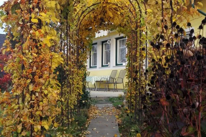 Seine Ehre erweist der Herbst auch dem Garten von Voktor Repolusk in Groß St. Florian.