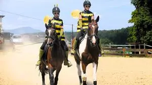 1. Reiterfest des RC Sinabelkirchen