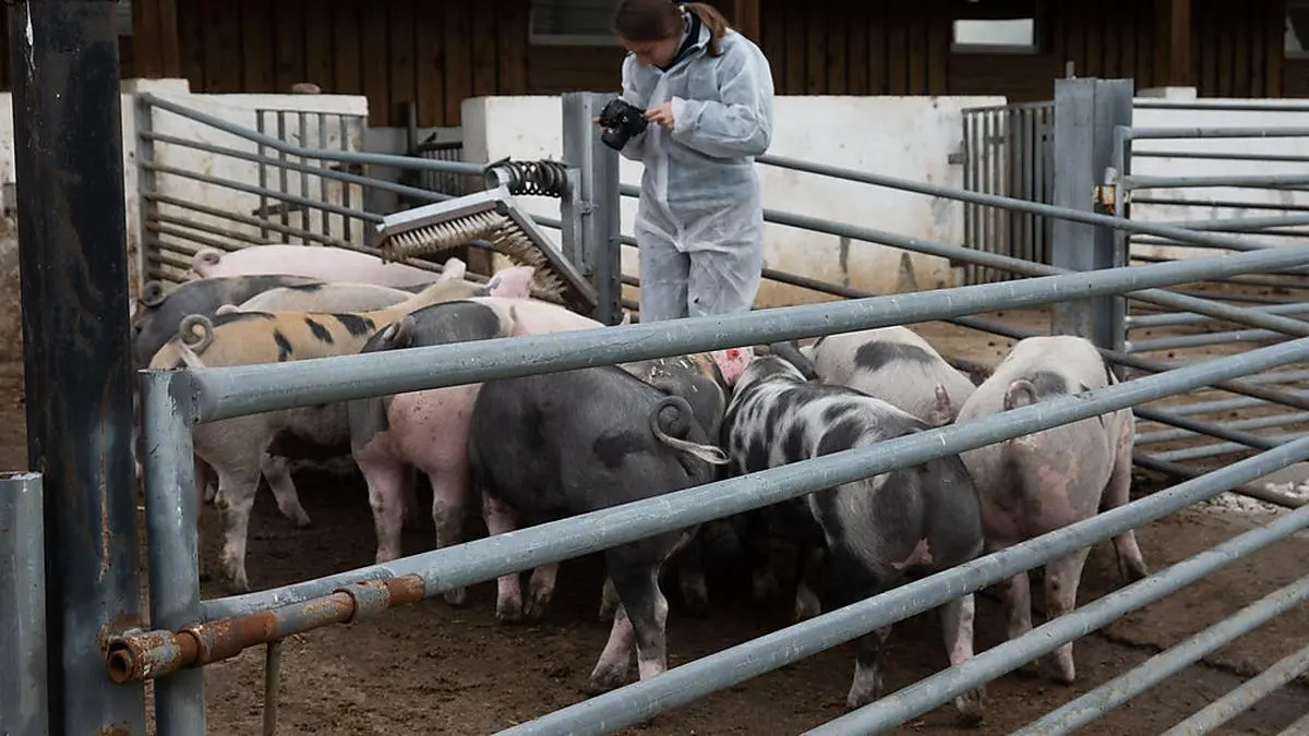 Hinter den Kulissen der Dreharbeiten
